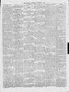 Bolton Journal & Guardian Saturday 01 January 1876 Page 5