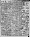 Bolton Journal & Guardian Saturday 01 February 1879 Page 3