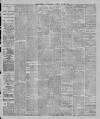 Bolton Journal & Guardian Saturday 25 March 1899 Page 5