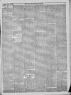 Bury & Suffolk Standard Tuesday 13 April 1869 Page 3