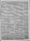 Bury & Suffolk Standard Tuesday 27 April 1869 Page 3