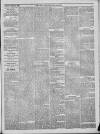 Bury & Suffolk Standard Tuesday 27 April 1869 Page 5