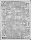 Bury & Suffolk Standard Tuesday 28 June 1870 Page 5