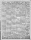 Bury & Suffolk Standard Tuesday 28 June 1870 Page 7
