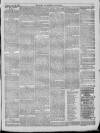 Bury & Suffolk Standard Tuesday 26 July 1870 Page 7