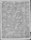 Bury & Suffolk Standard Tuesday 06 December 1870 Page 3