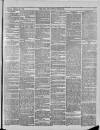Bury & Suffolk Standard Tuesday 25 February 1873 Page 3