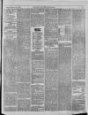 Bury & Suffolk Standard Tuesday 25 February 1873 Page 5