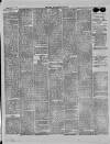 Bury & Suffolk Standard Tuesday 15 December 1874 Page 5