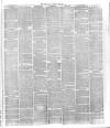 Bury & Suffolk Standard Tuesday 16 March 1875 Page 3