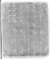 Bury & Suffolk Standard Tuesday 14 March 1876 Page 3