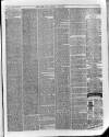 Bury & Suffolk Standard Tuesday 06 February 1877 Page 7