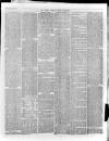 Bury & Suffolk Standard Tuesday 29 January 1878 Page 3