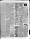 Bury & Suffolk Standard Tuesday 05 February 1878 Page 7