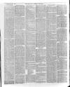 Bury & Suffolk Standard Tuesday 03 August 1880 Page 3