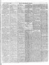 Bury & Suffolk Standard Tuesday 08 January 1884 Page 7