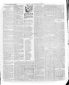 Bury & Suffolk Standard Tuesday 15 December 1885 Page 7