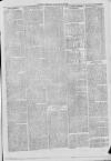 Hampshire Post and Southsea Observer Friday 24 July 1874 Page 3