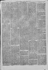 Hampshire Post and Southsea Observer Friday 21 August 1874 Page 3