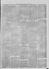 Hampshire Post and Southsea Observer Friday 28 August 1874 Page 3