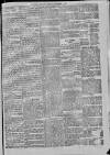 Hampshire Post and Southsea Observer Friday 04 September 1874 Page 5