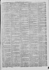 Hampshire Post and Southsea Observer Friday 13 November 1874 Page 3