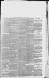 Hampshire Post and Southsea Observer Friday 29 January 1875 Page 5