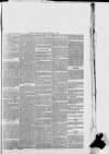 Hampshire Post and Southsea Observer Friday 12 February 1875 Page 5