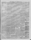 Hampshire Post and Southsea Observer Friday 28 January 1876 Page 5