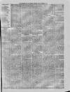 Hampshire Post and Southsea Observer Friday 03 November 1876 Page 7