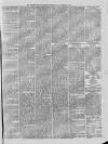 Hampshire Post and Southsea Observer Friday 15 December 1876 Page 5