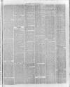 Hampshire Post and Southsea Observer Friday 22 March 1878 Page 5