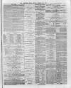 Hampshire Post and Southsea Observer Friday 06 December 1878 Page 3