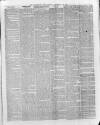 Hampshire Post and Southsea Observer Friday 13 February 1880 Page 3