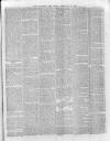 Hampshire Post and Southsea Observer Friday 13 February 1880 Page 5