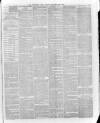 Hampshire Post and Southsea Observer Friday 28 December 1883 Page 3
