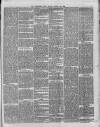 Hampshire Post and Southsea Observer Friday 21 March 1884 Page 5