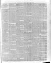 Hampshire Post and Southsea Observer Friday 20 February 1885 Page 7