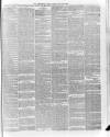 Hampshire Post and Southsea Observer Friday 15 May 1885 Page 3