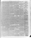 Hampshire Post and Southsea Observer Friday 15 May 1885 Page 5