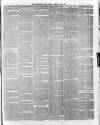 Hampshire Post and Southsea Observer Friday 11 January 1889 Page 7