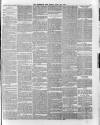 Hampshire Post and Southsea Observer Friday 12 April 1889 Page 3