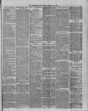 Hampshire Post and Southsea Observer Friday 13 March 1891 Page 3