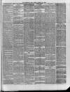 Hampshire Post and Southsea Observer Friday 17 March 1893 Page 3