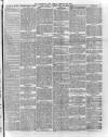 Hampshire Post and Southsea Observer Friday 18 January 1895 Page 3