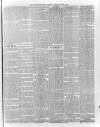 Hampshire Post and Southsea Observer Friday 24 February 1899 Page 5