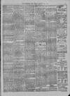 Hampshire Post and Southsea Observer Friday 29 January 1904 Page 7