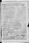 Hampshire Post and Southsea Observer Saturday 20 September 1913 Page 7