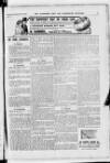 Hampshire Post and Southsea Observer Saturday 20 September 1913 Page 11