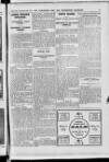 Hampshire Post and Southsea Observer Saturday 20 September 1913 Page 19